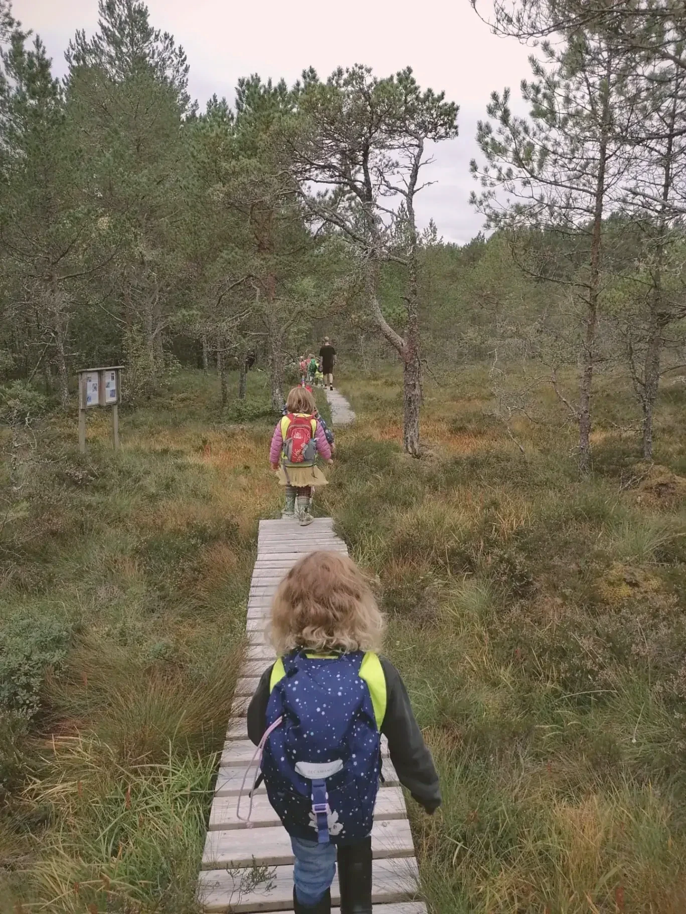 Myrtur om hausten